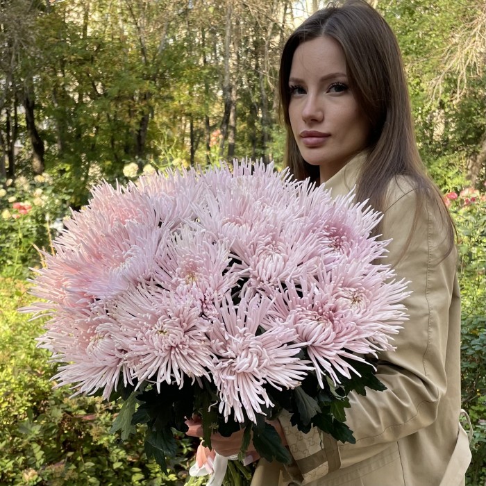 Хризантема  игольчатая сиреневая Каприоль